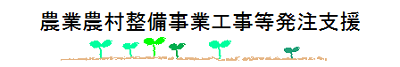 農業農村整備事業工事等発注者支援（設計積算・技術審査・監督・検査）の補助