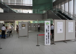 きぼーる展示